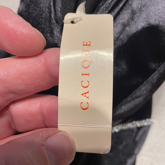 Plus Sz deep plunge rhinestone corset with lace and satin bodice 18-20 NWT - Picture 15 of 15